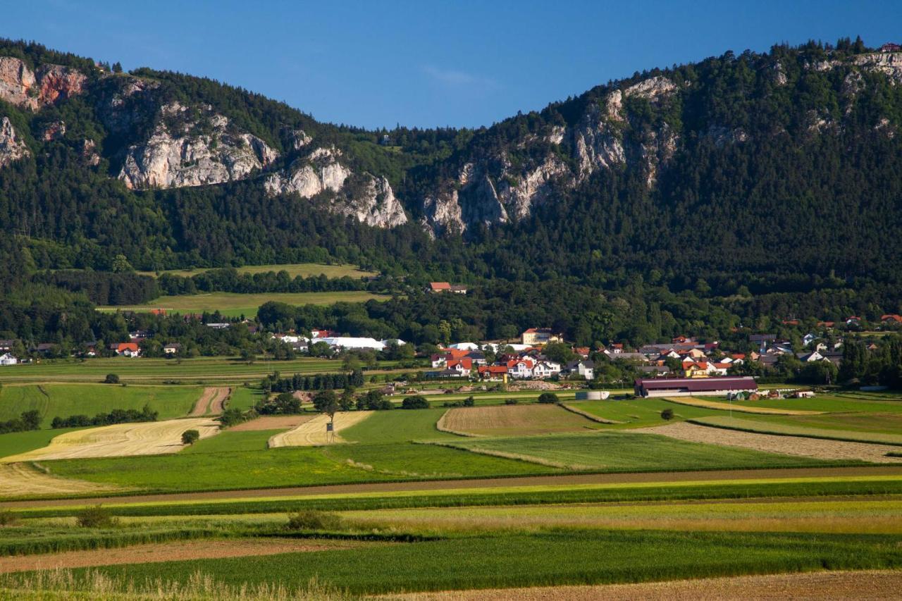 Farmhouse - Hohe Wand Ξενοδοχείο Stollhof Εξωτερικό φωτογραφία